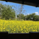 重庆旅游 缩略图 7
