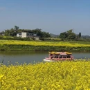重庆旅游 缩略图 10