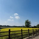重庆旅游 缩略图 9