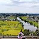 重庆旅游 缩略图 3