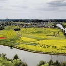 重庆旅游 缩略图 12