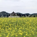 重庆旅游 缩略图 2