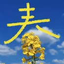 重庆旅游 缩略图 1