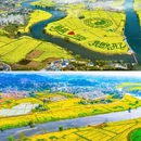 重庆旅游 缩略图 5