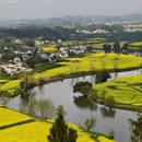 重庆旅游 缩略图 6