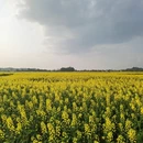 重庆旅游 缩略图 10