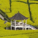 重庆旅游 缩略图 7