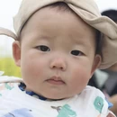 重庆旅游 缩略图 1
