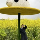 重庆旅游 缩略图 2