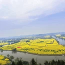 重庆旅游 缩略图 6