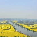 重庆旅游 缩略图 7