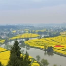 重庆旅游 缩略图 4