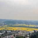 重庆旅游 缩略图 5