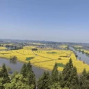 重庆旅游 缩略图 11