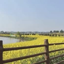 重庆旅游 缩略图 10