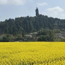 重庆旅游 缩略图 5