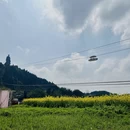 重庆旅游 缩略图 2