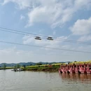 重庆旅游 缩略图 1