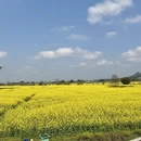 重庆旅游 缩略图 3