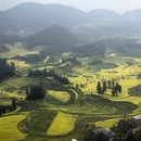 昆明旅游 缩略图 1