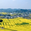 重庆旅游 缩略图 2