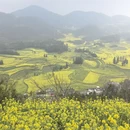 昆明旅游 缩略图 4