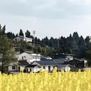 重庆旅游 缩略图 3