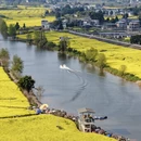 重庆旅游 缩略图 1
