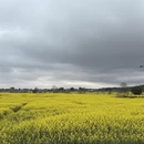 重庆旅游 缩略图 4