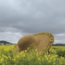 重庆旅游 缩略图 5