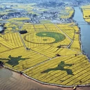 重庆旅游 缩略图 5