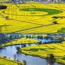 重庆旅游 缩略图 7