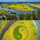 重庆旅游 缩略图 6