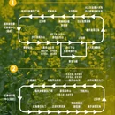重庆旅游 缩略图 8