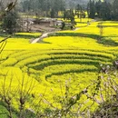 曲靖旅游 缩略图 3