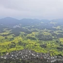 普洱旅游 缩略图 4