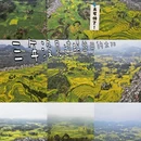 普洱旅游 缩略图 1