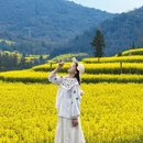 曲靖旅游 缩略图 4