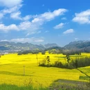 曲靖旅游 缩略图 8