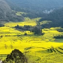 曲靖旅游 缩略图 9