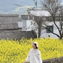 曲靖旅游 缩略图 7
