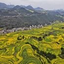 普洱旅游 缩略图 5