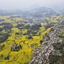 普洱旅游 缩略图 3