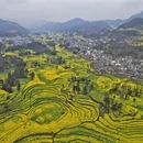 普洱旅游 缩略图 6