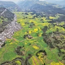 普洱旅游 缩略图 7