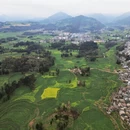 普洱旅游 缩略图 8