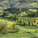 曲靖旅游 缩略图 3
