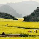 曲靖旅游 缩略图 1