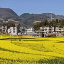 昆明旅游 缩略图 2