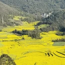 昆明旅游 缩略图 6